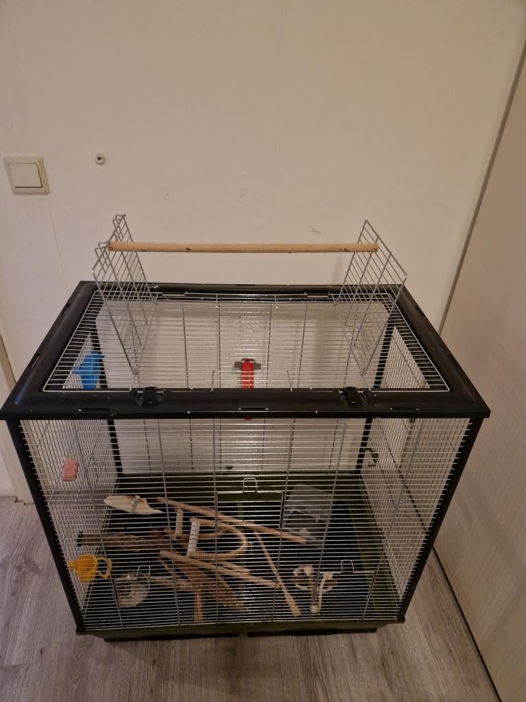 Grote vogelkooi met Toebehoren, Ophalen, Zo goed als nieuw, Metaal, Vogelkooi