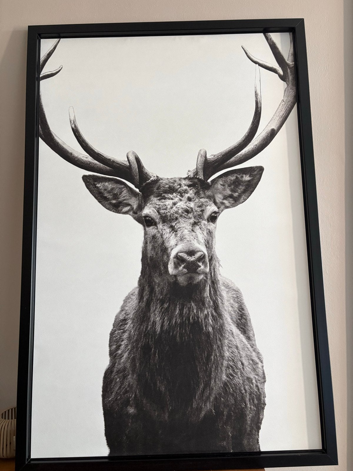 Hertenkop Poster - Zwart-wit ingelijste print ikea, Ophalen, Zo goed als nieuw, Foto of Poster, 75 – 100