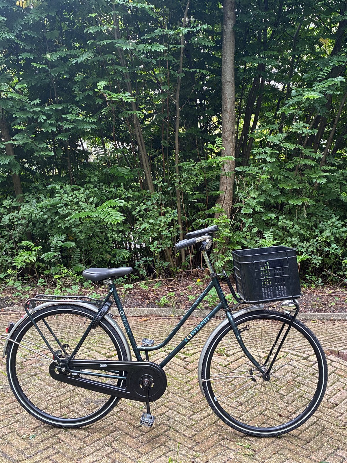 Damesfiets met mandje - Gebruikt, Overige merken, Terugtraprem, Ophalen of Verzenden, 50 tot 53 cm