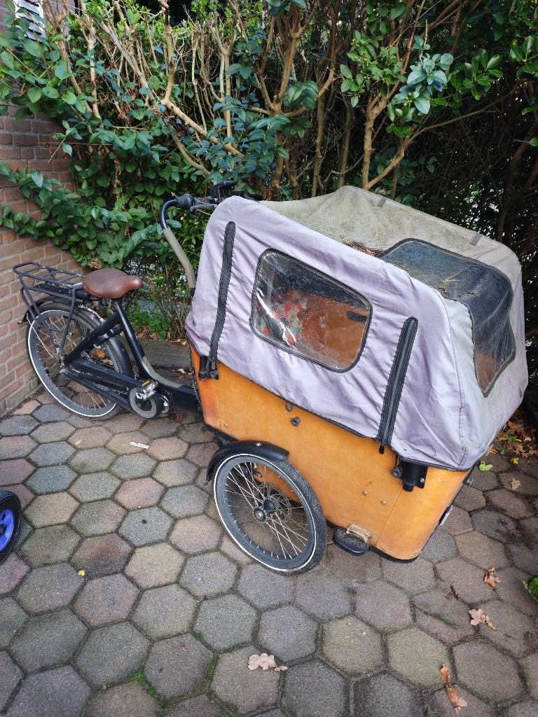 Bakfiets vogue carry 3, 4 kinderen of meer, Gebruikt, Elektrisch, Schijfrem
