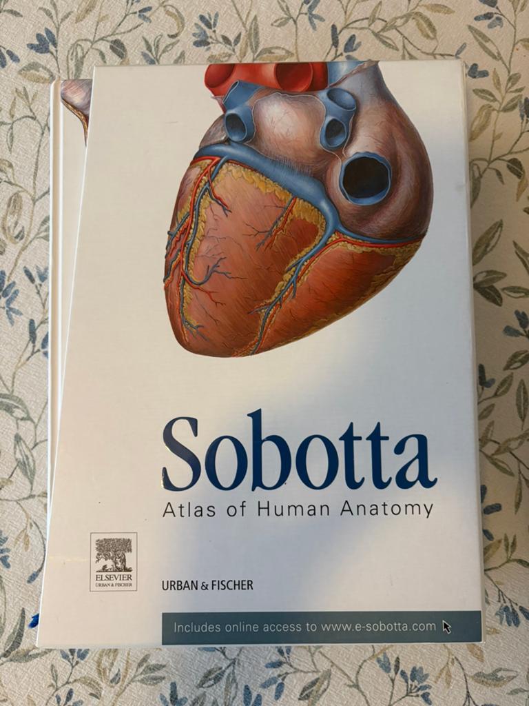 Sobotta Anatomie atlas, Ophalen, Beta, Zo goed als nieuw, HBO