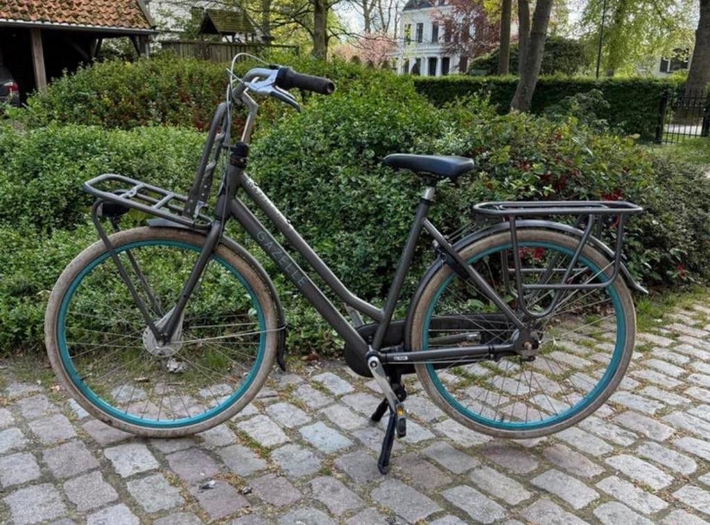 Gazelle Heavy Duty Damesfiets - Framemaat 54, Fietsen en Brommers, Fietsen | Dames | Damesfietsen, Ophalen, Versnellingen, Gazelle