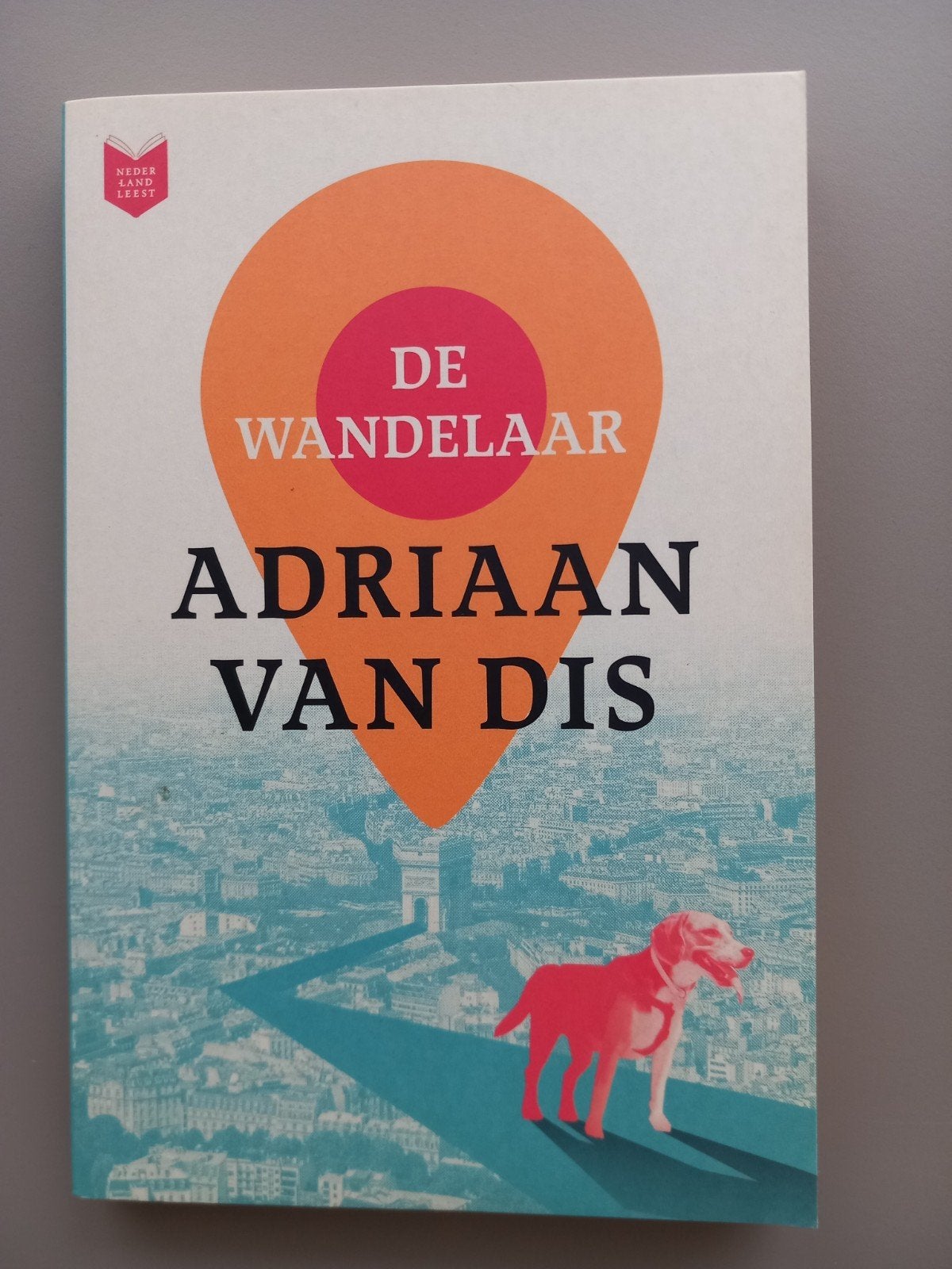 De Wandelaar, Boeken, Ophalen of Verzenden, Gelezen, Adriaan van Dis