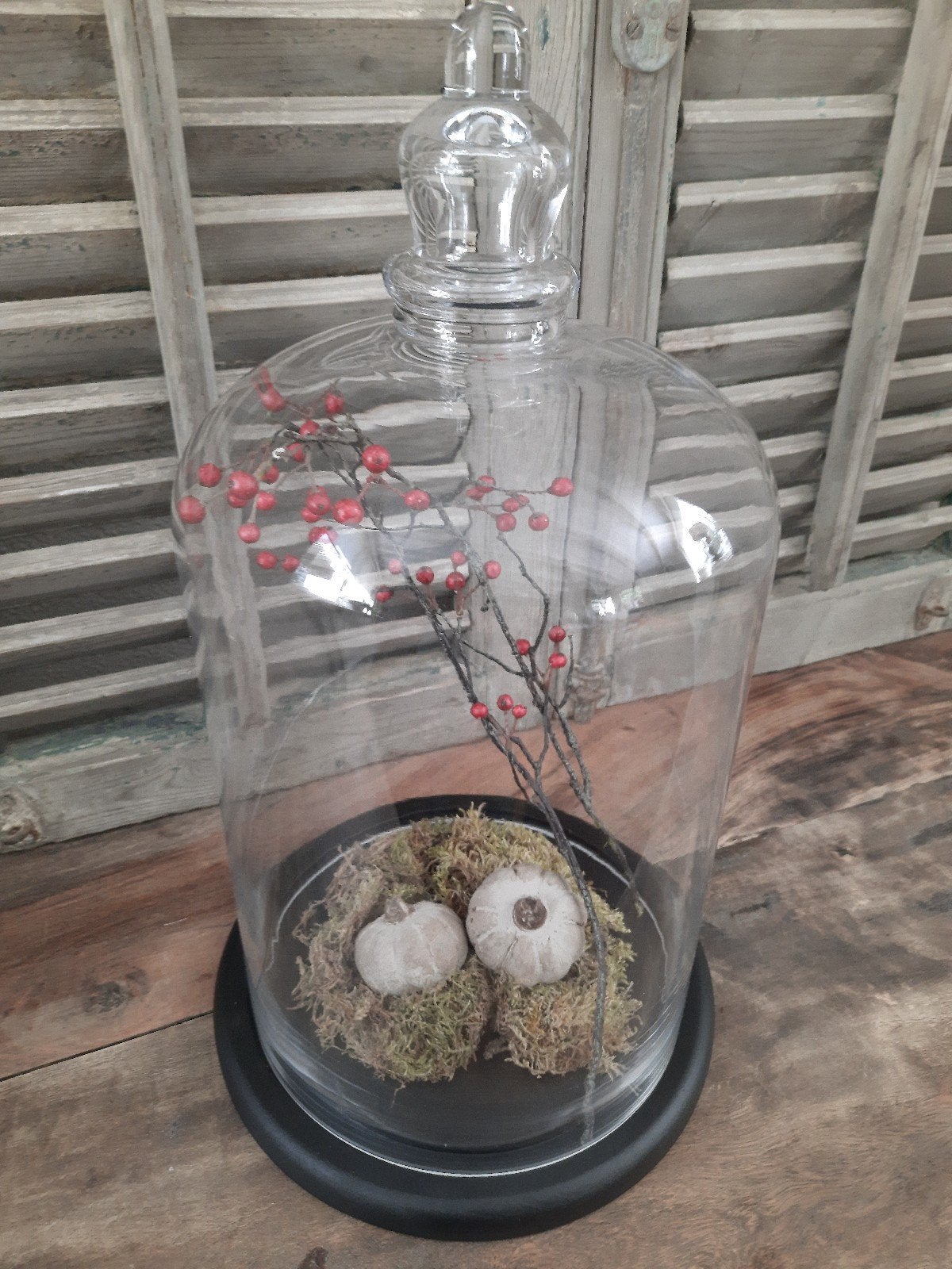 Hoge stolp op houten onderbord inclusief decoratie cloche, Huis en Inrichting, Glas, Ophalen, Zo goed als nieuw, 20 cm