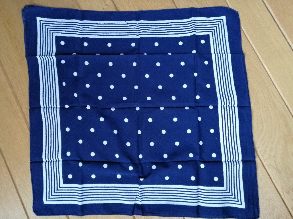 Sjaal blauw met witte stippen, Ophalen of Verzenden, Zo goed als nieuw, Maat 46/48 (XL) of groter, Sjaal