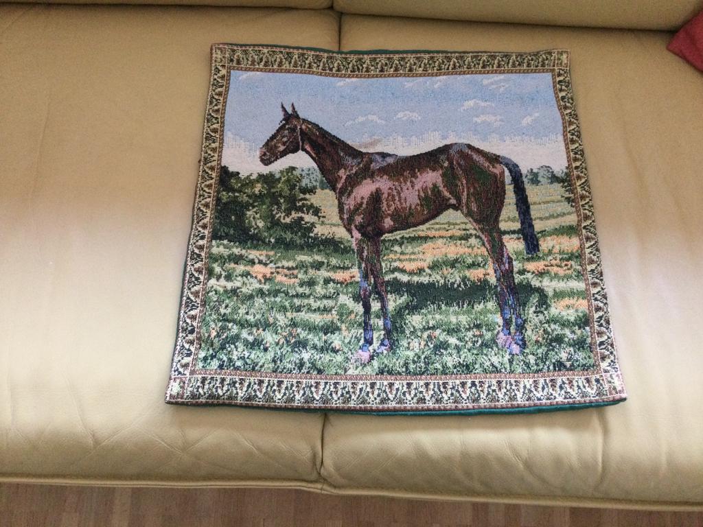 Voor de paardenliefhebbers een leuk kussensloop, Ophalen