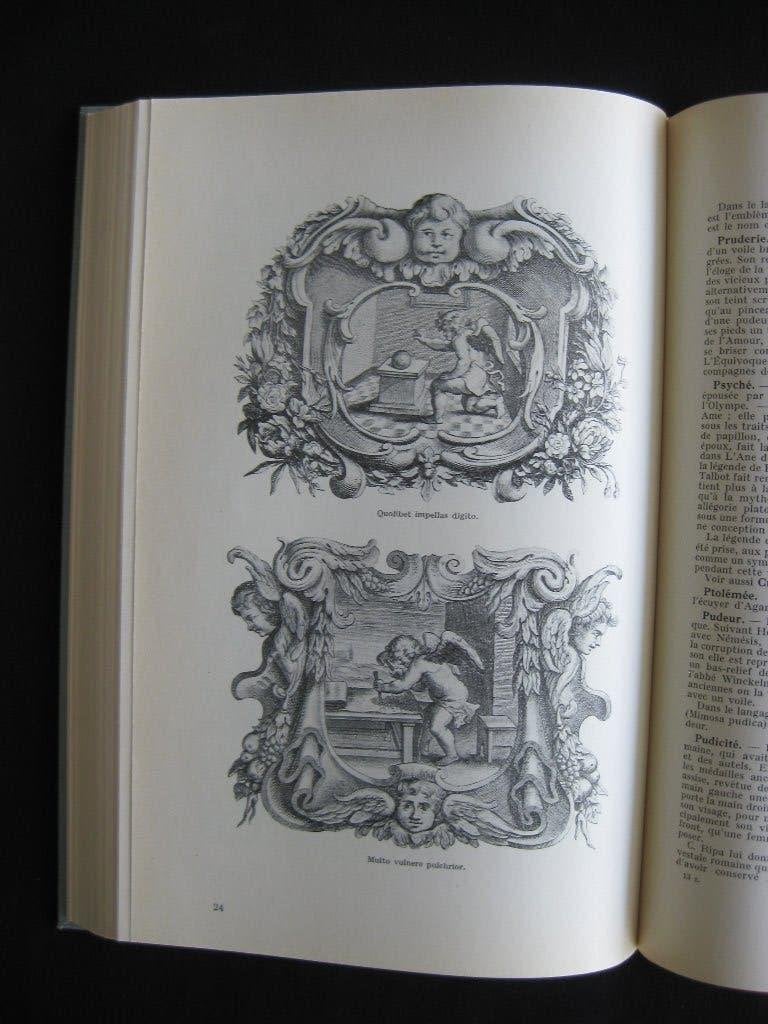 Dictionnaire des attributs, allégories, emblèmes et symboles, Ophalen of Verzenden, Gelezen