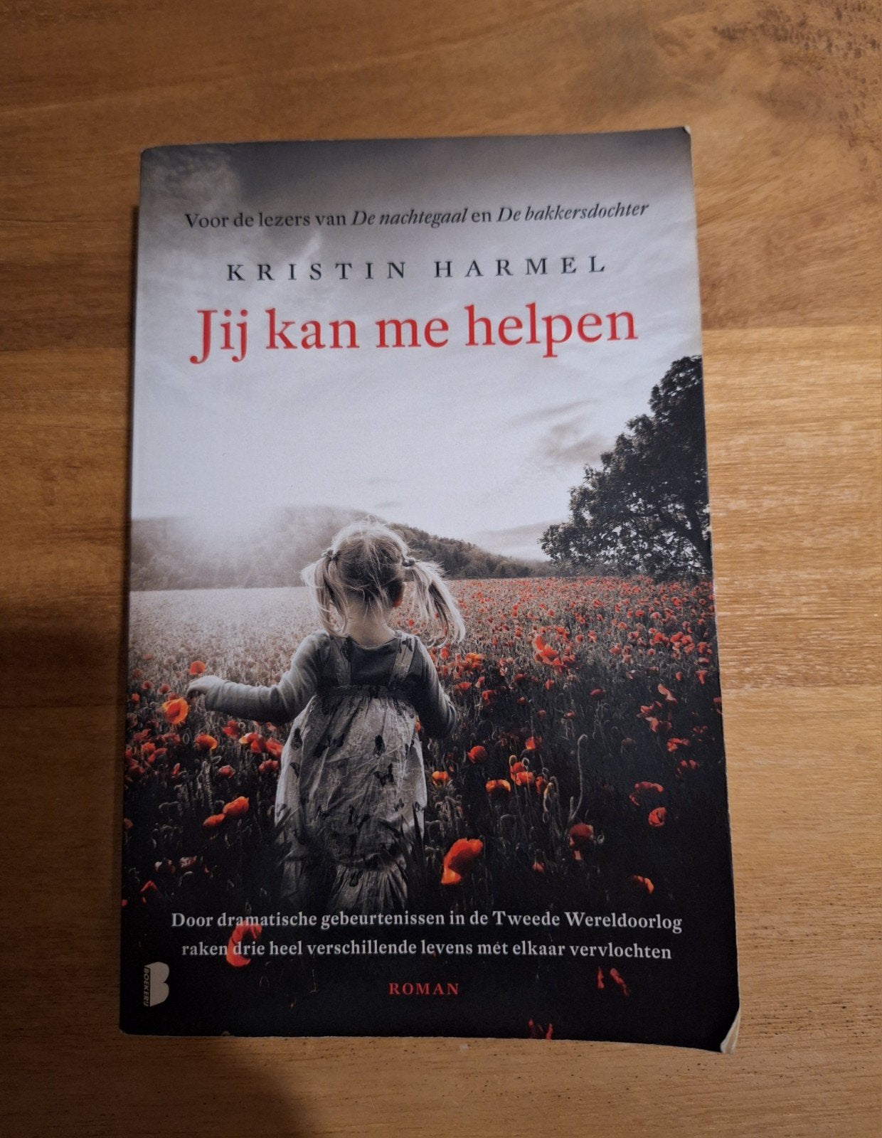 Kristin Harmel - Jij kan me helpen, Ophalen of Verzenden, Gelezen, Kristin Harmel