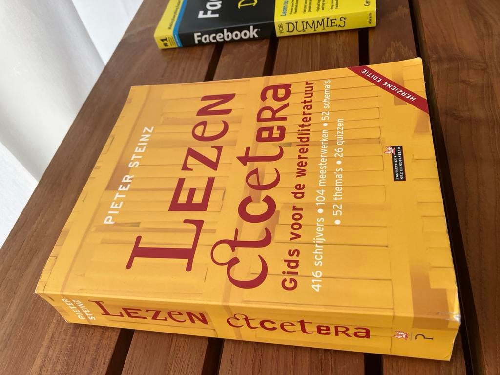 Lezen etcetera - Pieter Steinz, Ophalen of Verzenden, Gelezen, Nederland