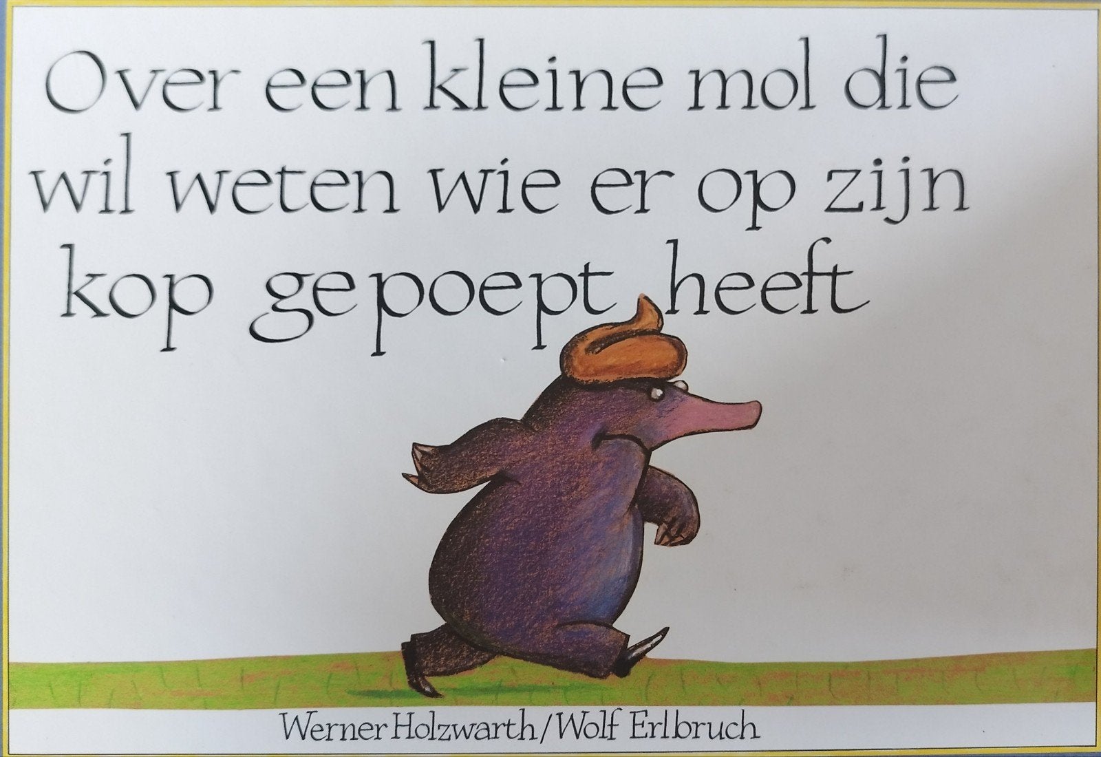 Kleine mol die wil weten wie er op zijn kop gepoept, Boeken, Fictie algemeen, Jongen of Meisje, Ophalen of Verzenden, Voorleesboek