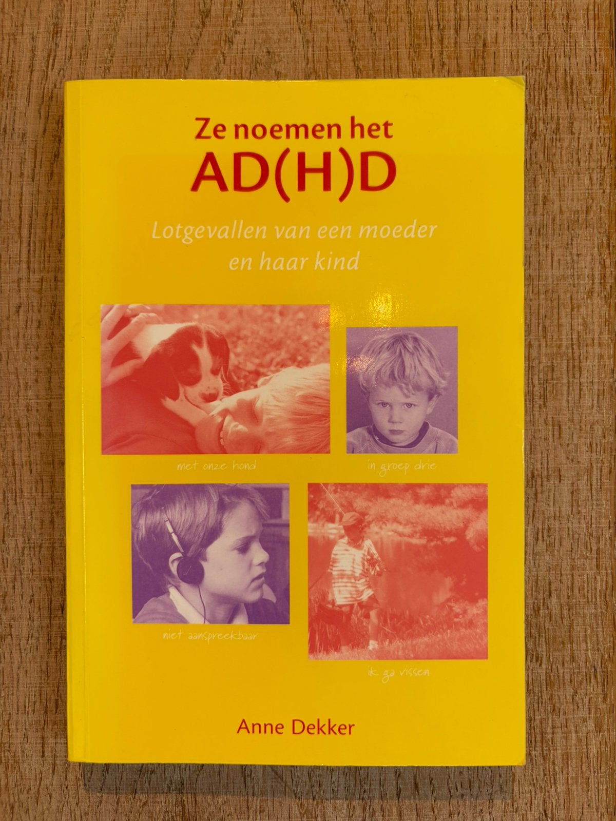 Anna Dekker - Ze noemen het AD(H)D, Boeken, Ophalen of Verzenden, Anna Dekker, Ontwikkelingspsychologie, Zo goed als nieuw
