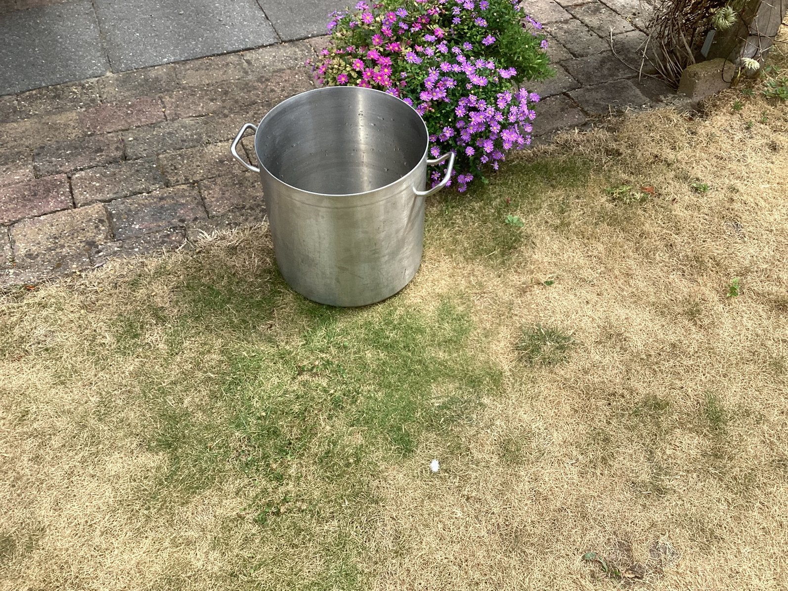 Nette rvs pan 25 ltr, Ophalen, Zo goed als nieuw, Rvs