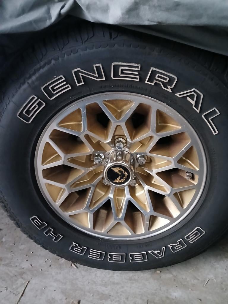 GEVRAAGD PONTIAC FIREBIRD HONINGRAAT WIEL 15INC., Ophalen of Verzenden