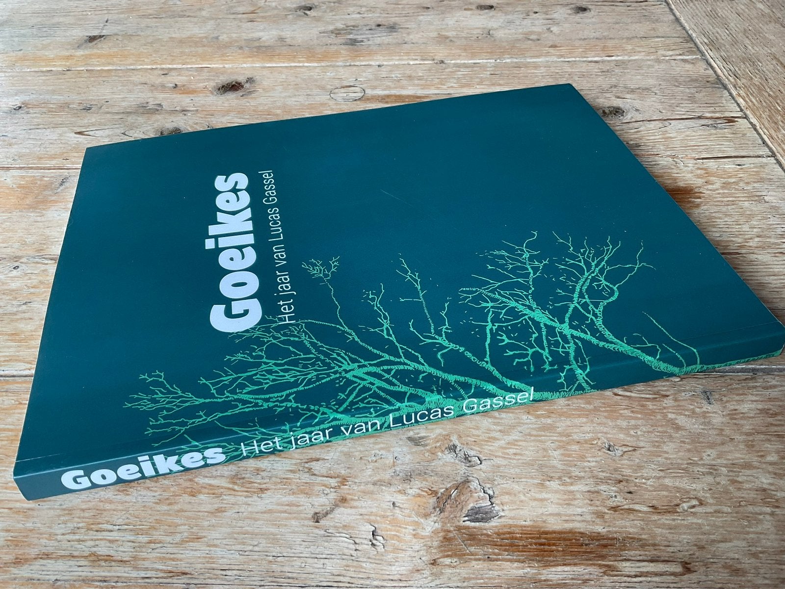 Lucas Gassel - Fotografie, Ophalen of Verzenden, Zo goed als nieuw