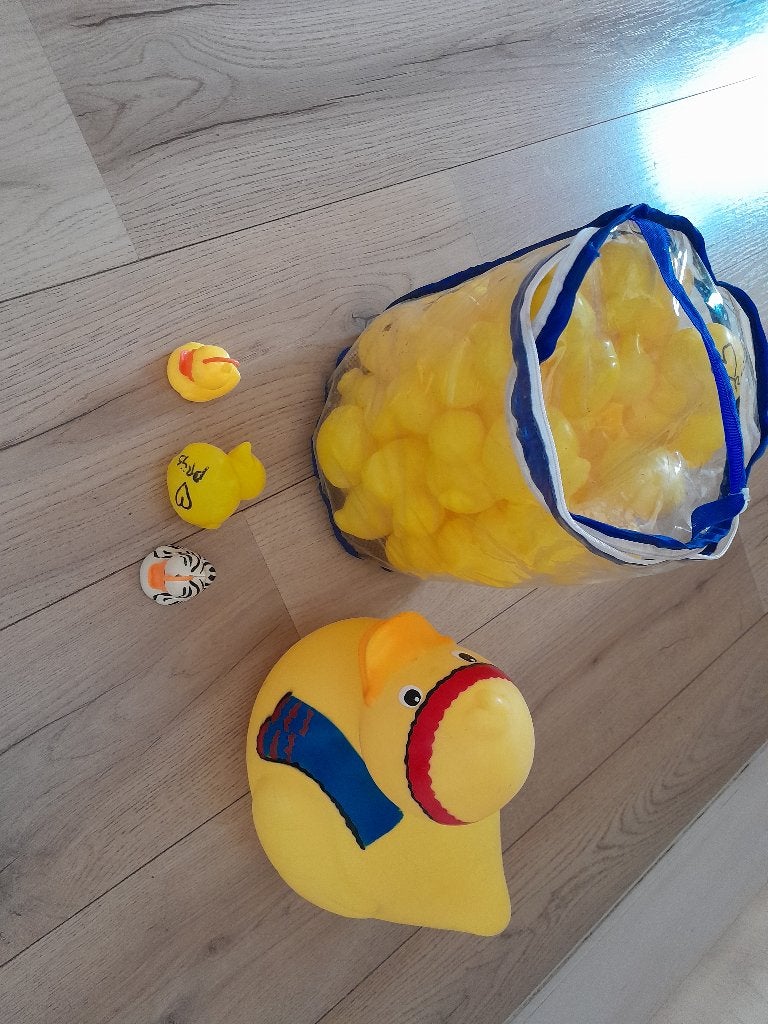 plastic eendjes zwembad, Ophalen, Gebruikt, Minder dan 80 cm, Overige typen