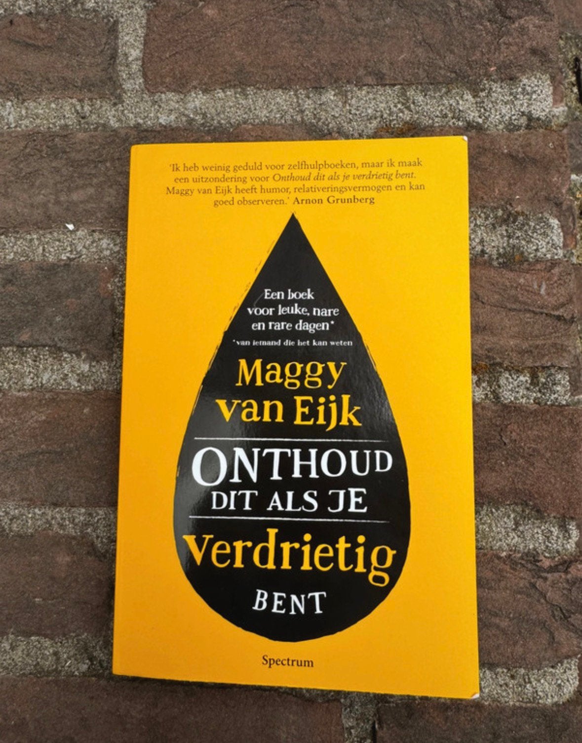 Boek onthoud dit als je verdrietig bent Maggy van Eijk, Boeken, Ophalen of Verzenden, Zo goed als nieuw
