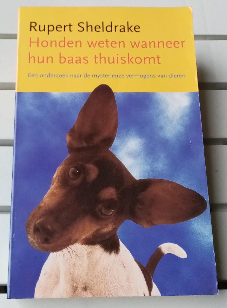 HONDEN WETEN WANNEER HUN BAAS THUISKOMT * Rupert Sheldrake, Gelezen, Achtergrond en Informatie, Ophalen of Verzenden, Overige onderwerpen