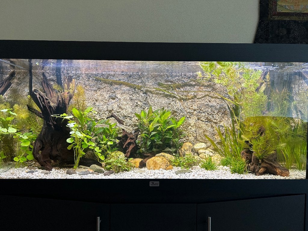Aquarium 120 x 40 x 50 (incl. onderkast van 72 hoog), Ophalen, Inclusief deksel, Zo goed als nieuw, Leeg aquarium