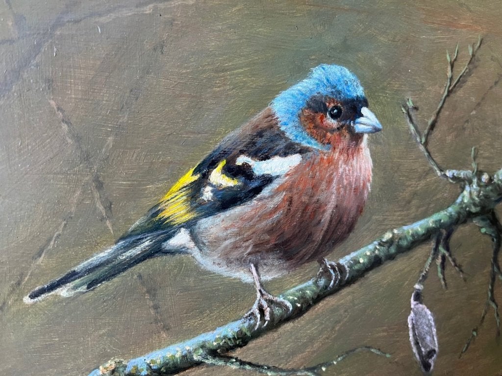 Hans Habraken, kleurrijke vink op takje, Ophalen
