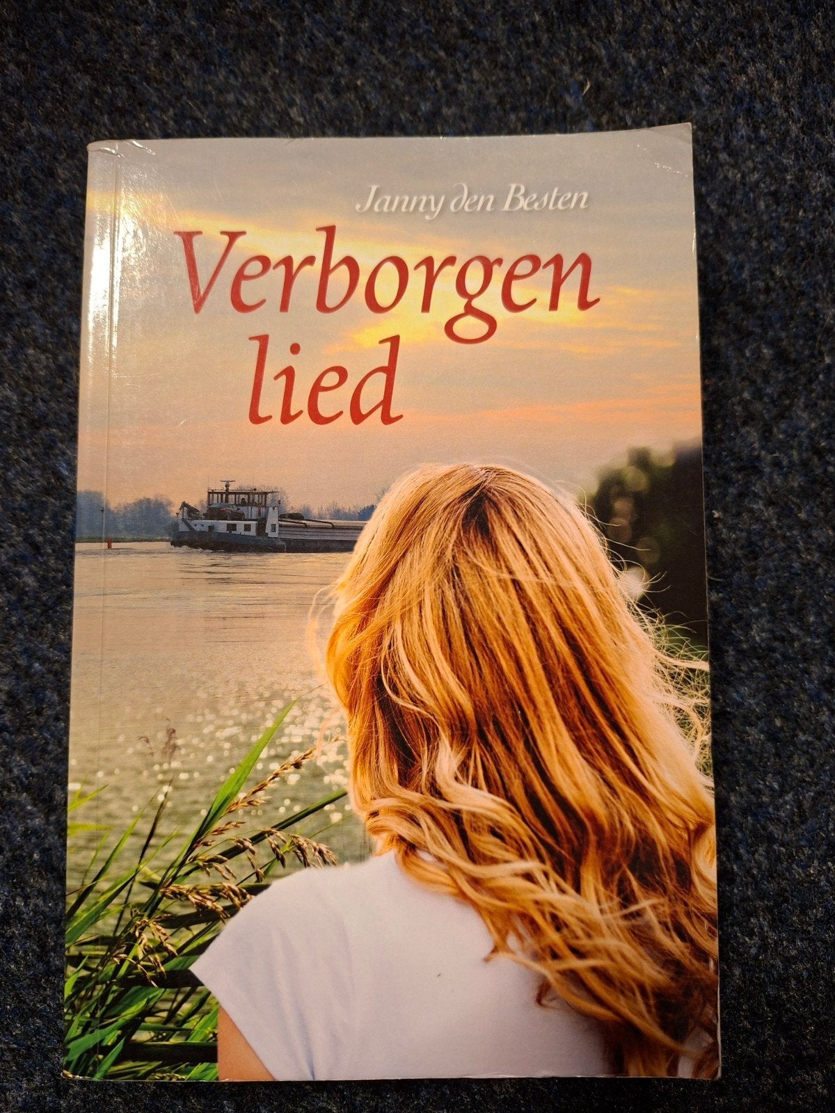 Janny den Besten - Verborgen lied, Ophalen of Verzenden, Gelezen, Janny den Besten