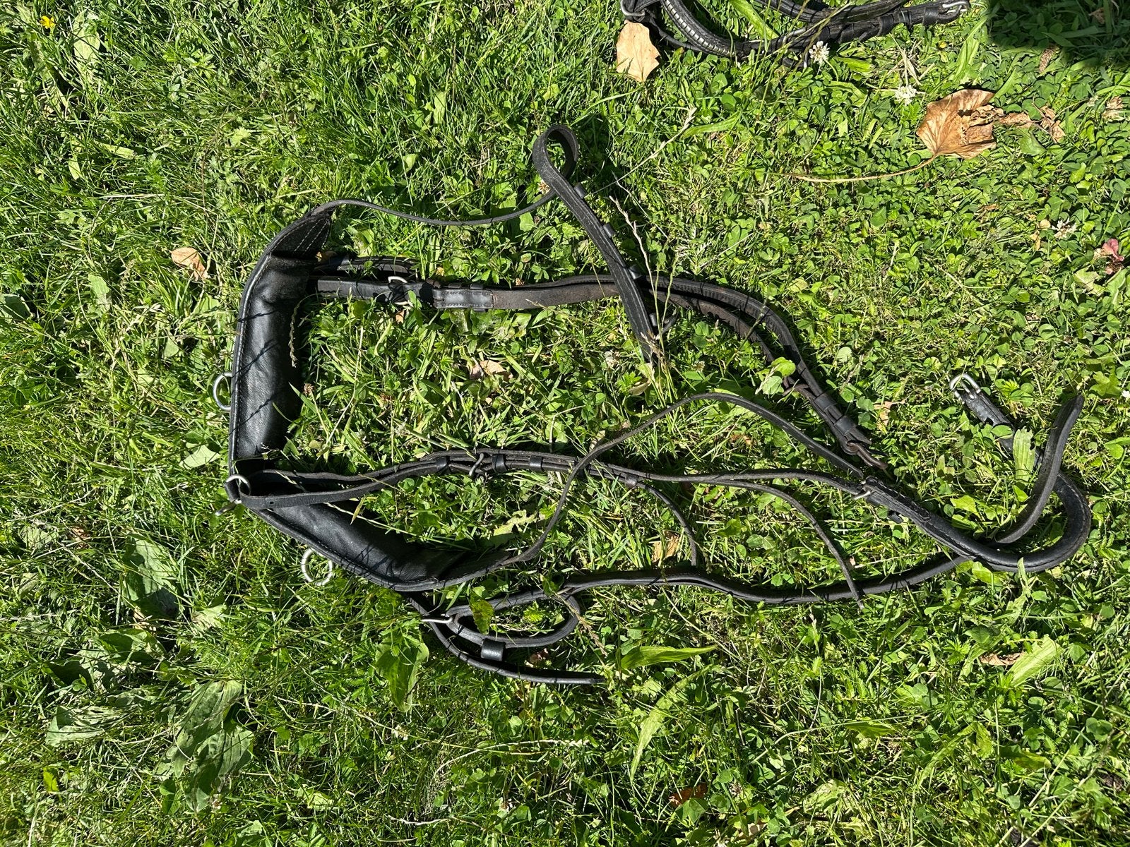 Ponytuigje in goede staat, Ophalen of Verzenden