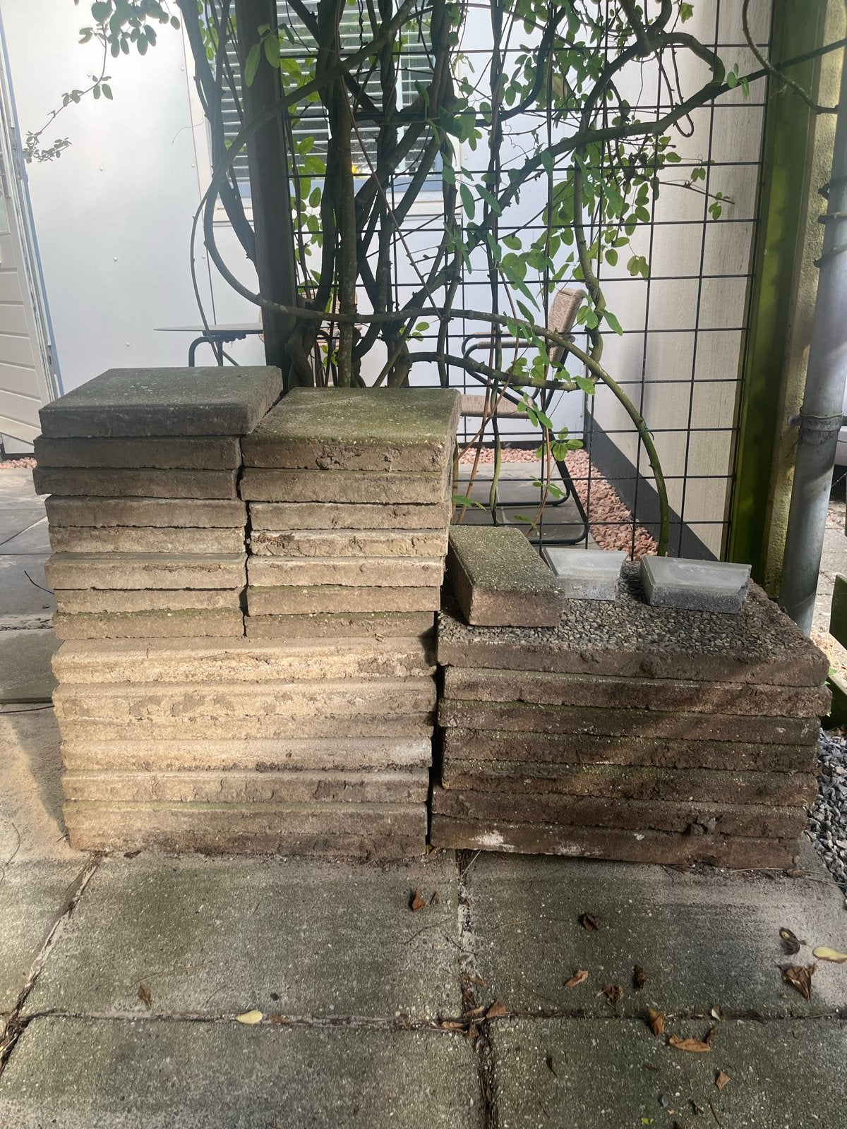 Gratis afhalen: Stoeptegels en betontegels, Ophalen, Gebruikt, 10 m² of meer, Vloertegels