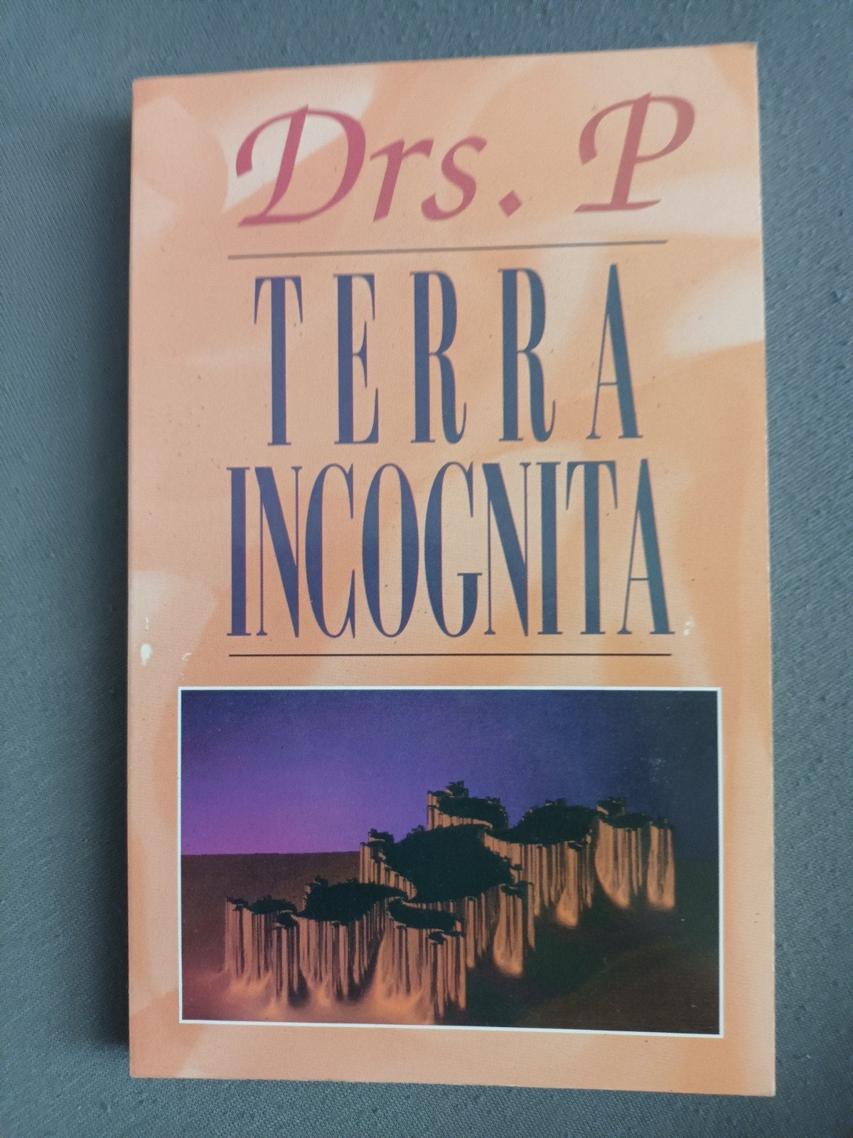 Drs. P - Terra Incognita (Boek), Ophalen of Verzenden, Gelezen, Drs. P, Nederland