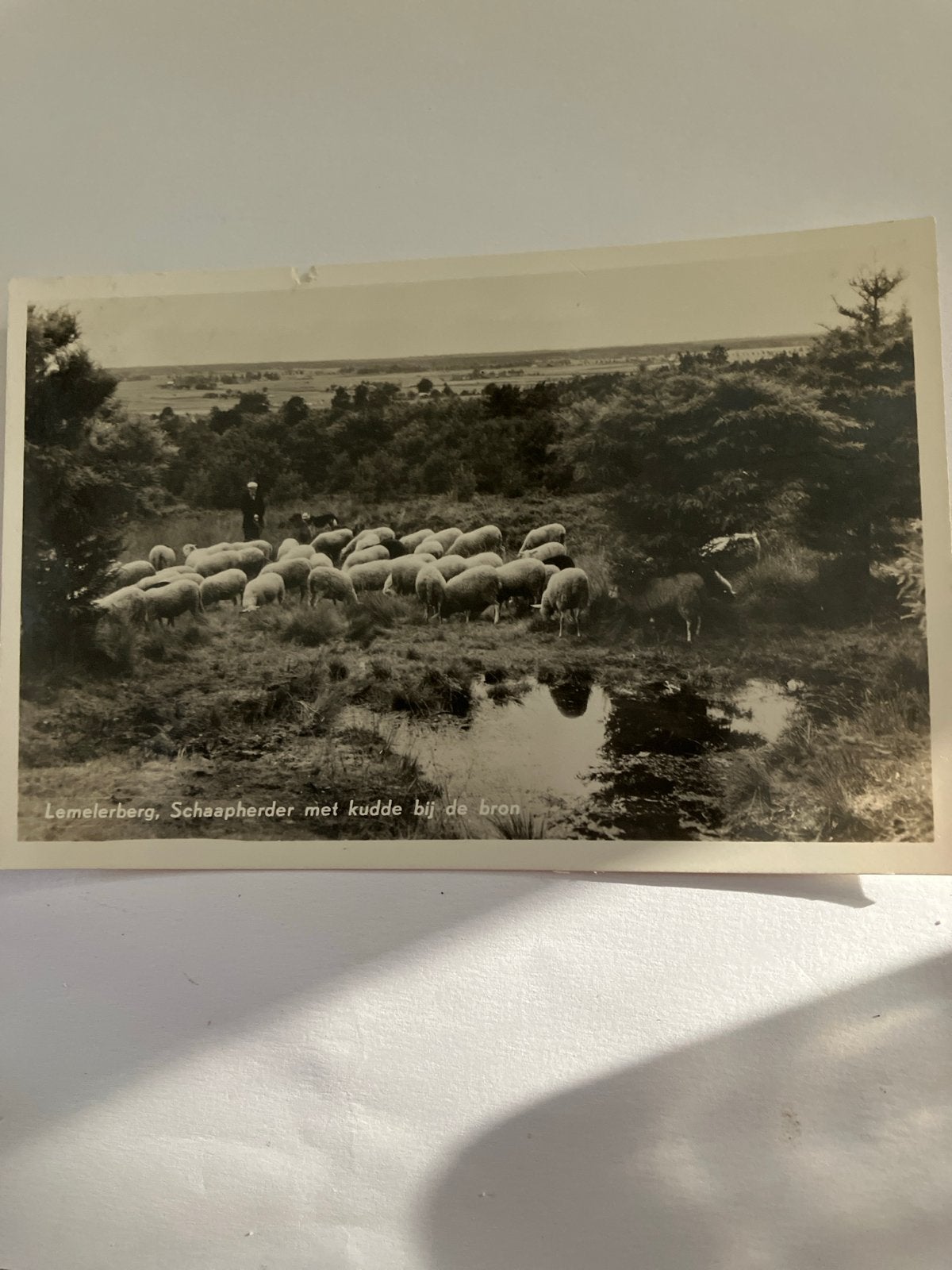 Oude Ansichtkaart Lemelerberg Schaapherder Kudde Bron, Ophalen of Verzenden, 1920 tot 1940, Gelopen, Overijssel
