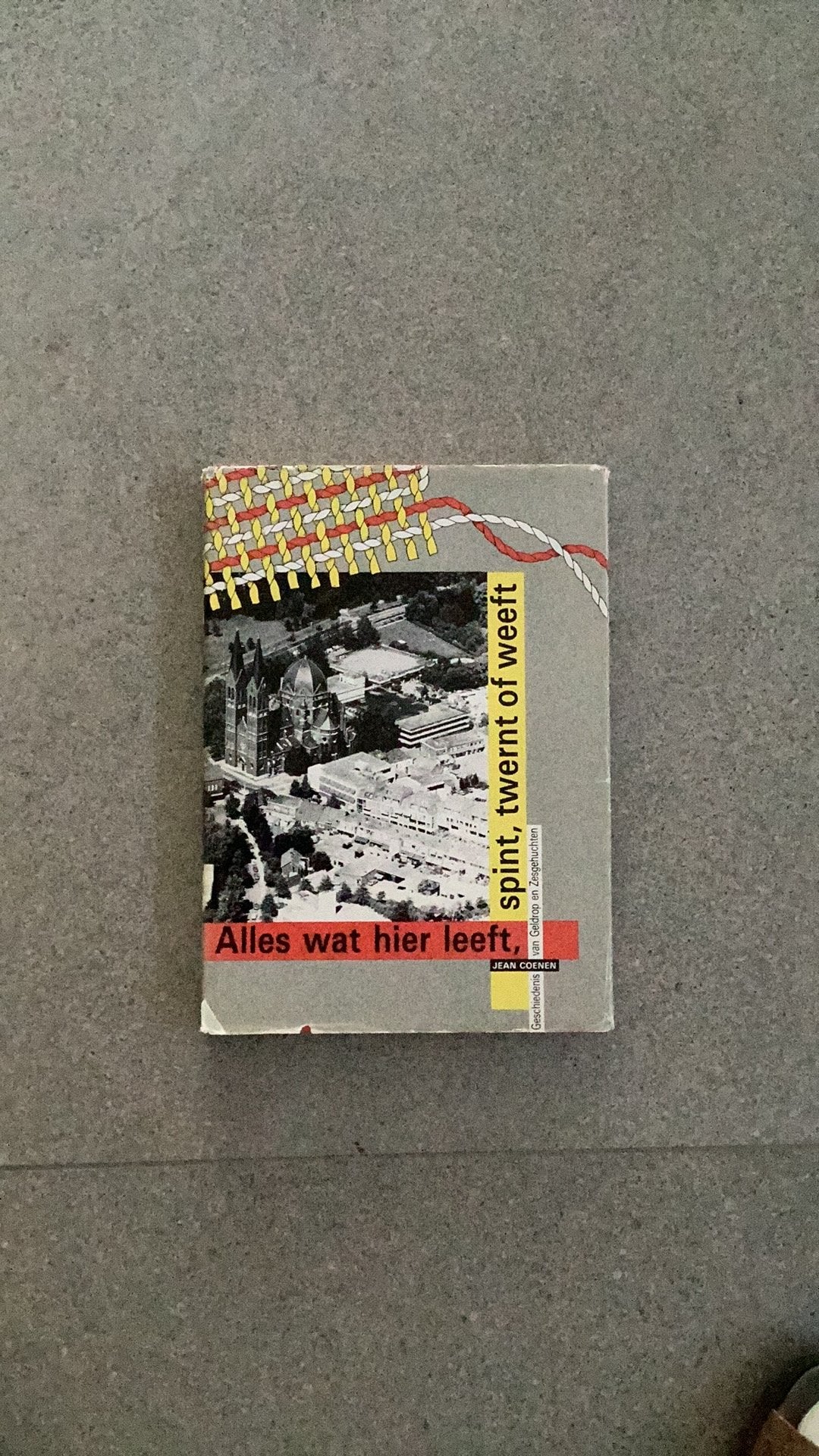 Boek over Geschiedenis van Geldrop en Zeshuchten, Boeken, Geschiedenis | Stad en Regio, Ophalen of Verzenden, Gelezen