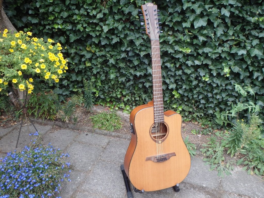 Lag 12 snarige gitaar met koffer, Muziek en Instrumenten, Snaarinstrumenten | Gitaren | Akoestisch, Ophalen, Zo goed als nieuw