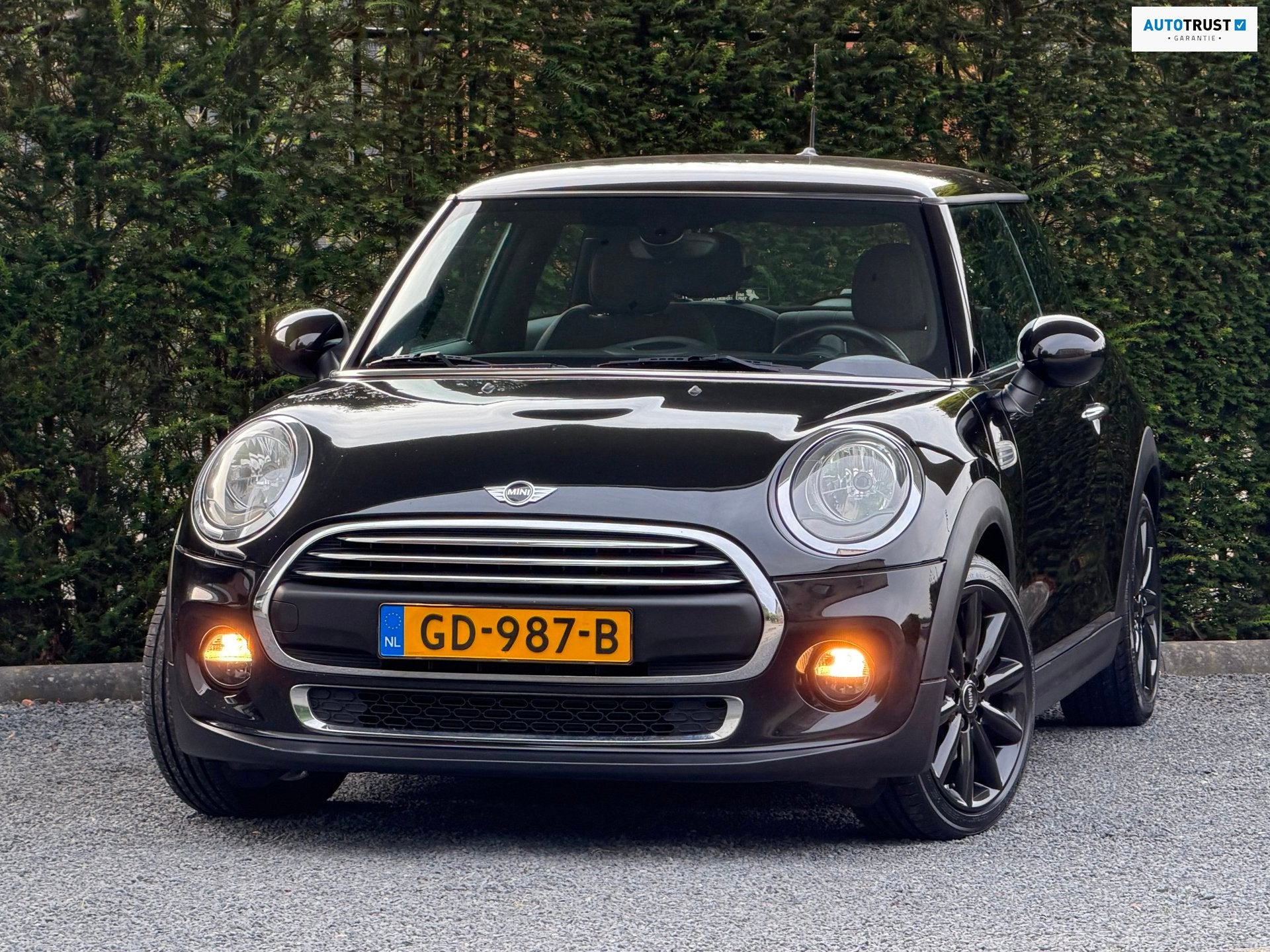 Mini 3-Deurs 1.2 One Business PDC | NAVI | CRUISE | RIJKLAAR, Dealer onderhouden, Euro 6, 4 stoelen, 1198 cc