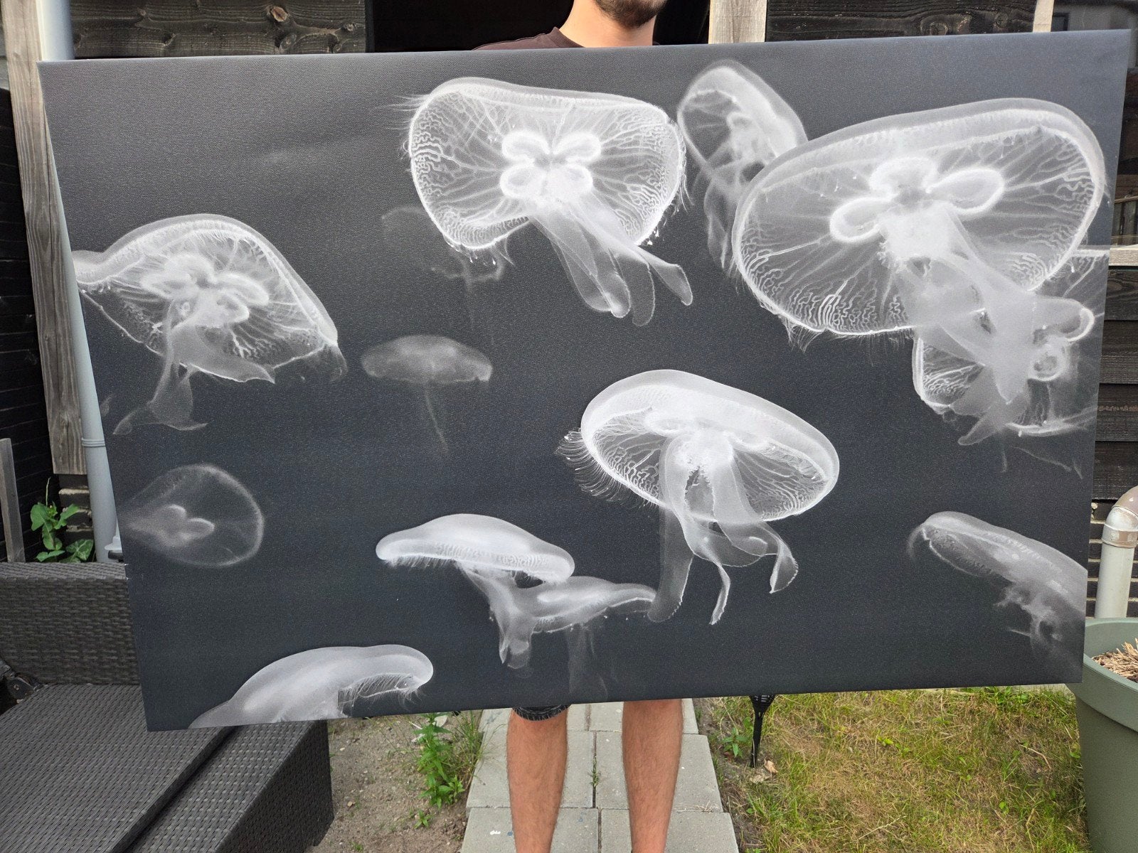IKEA schilderij met kwallen - perfect voor elke kamer, Ophalen of Verzenden, Zo goed als nieuw, 100 tot 125 cm, Schilderij