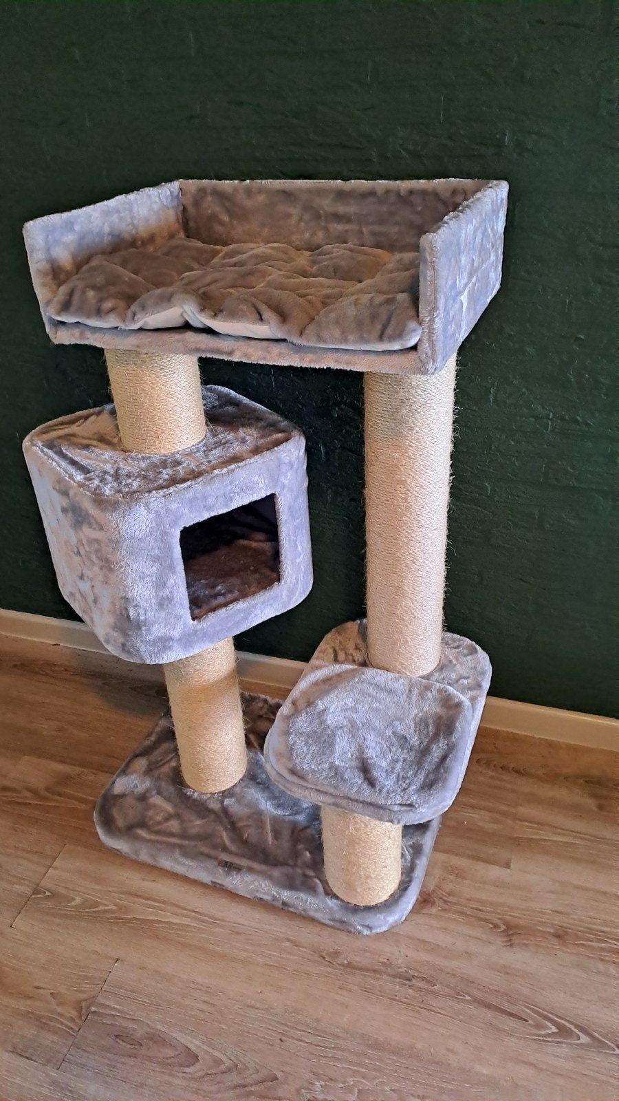 Krabpaal katten, Dieren en Toebehoren, Ophalen, Krabton