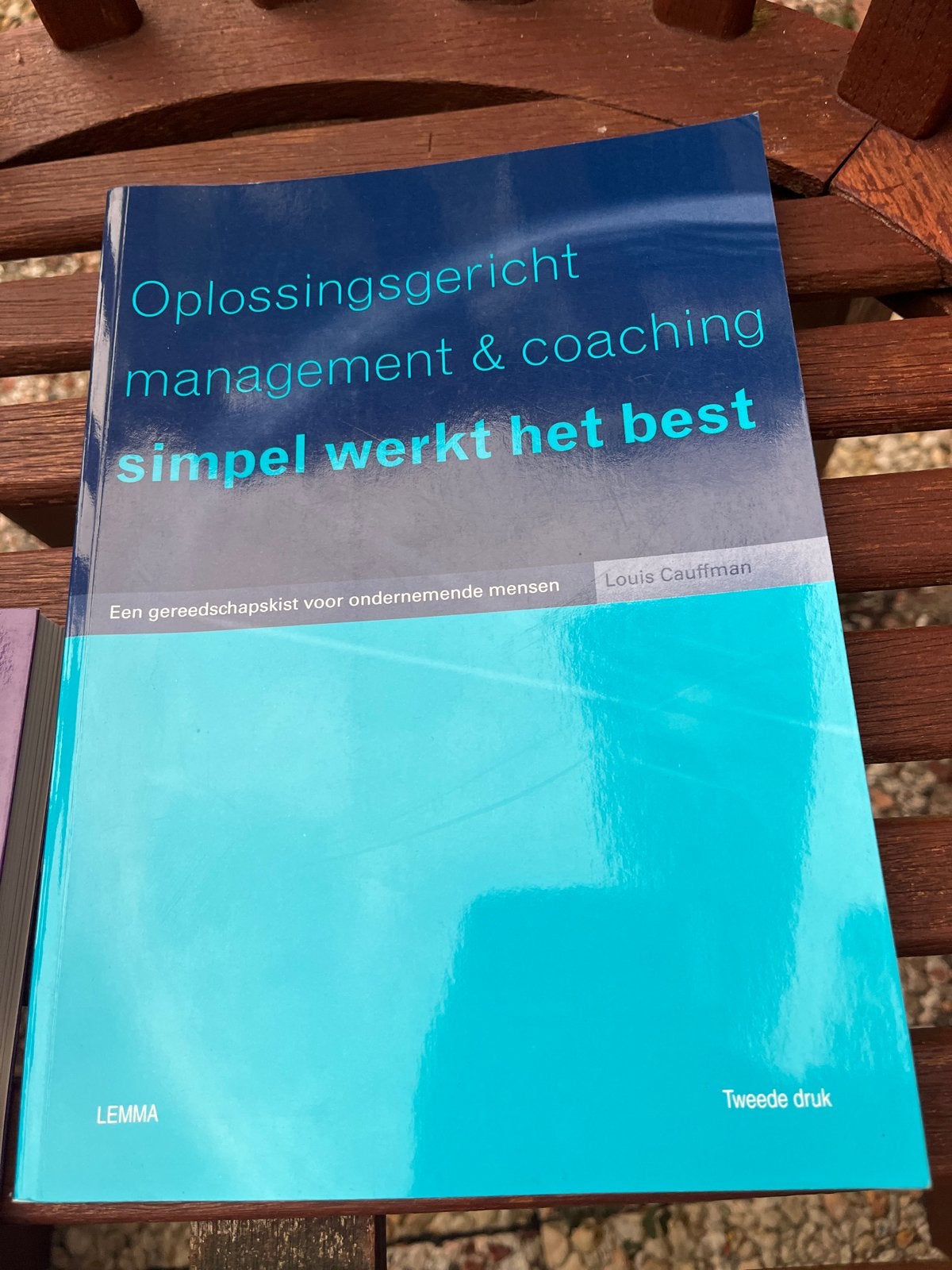Oplossingsgericht management & coaching - Louis Cauffman, Boeken, Ophalen of Verzenden, Zo goed als nieuw, Management