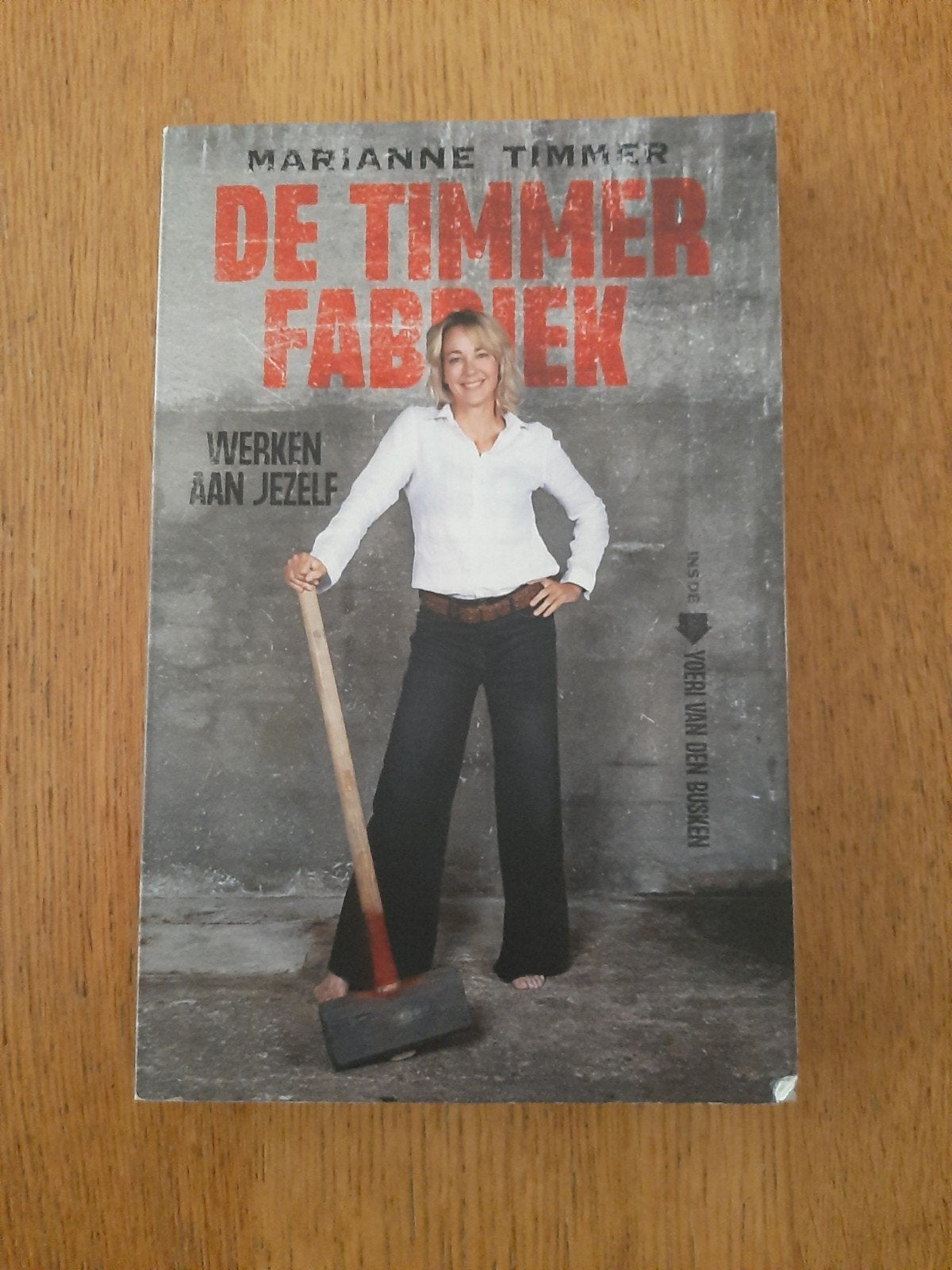 Yoeri van den Busken - Marianne Timmer gesineerd!, Ophalen of Verzenden, Zo goed als nieuw, Yoeri van den Busken
