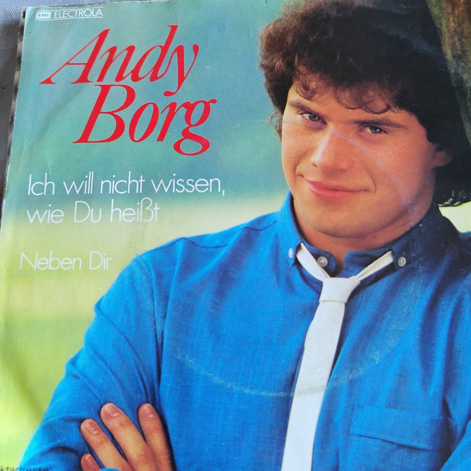Andy Borg - Ich will nicht wissen wie Du heißt (Vinyl Single, Gebruikt, 7 inch, EP, Schlager