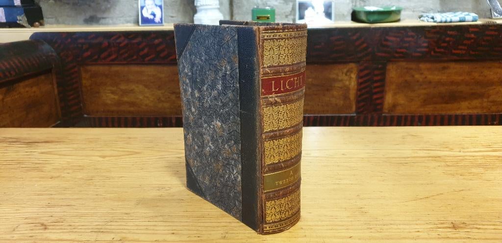 Wetenschappelijk tijdschrift LICHT 26 stuks ingebonden 1920, Ophalen of Verzenden, Voor 1920, Nederland, Tijdschrift