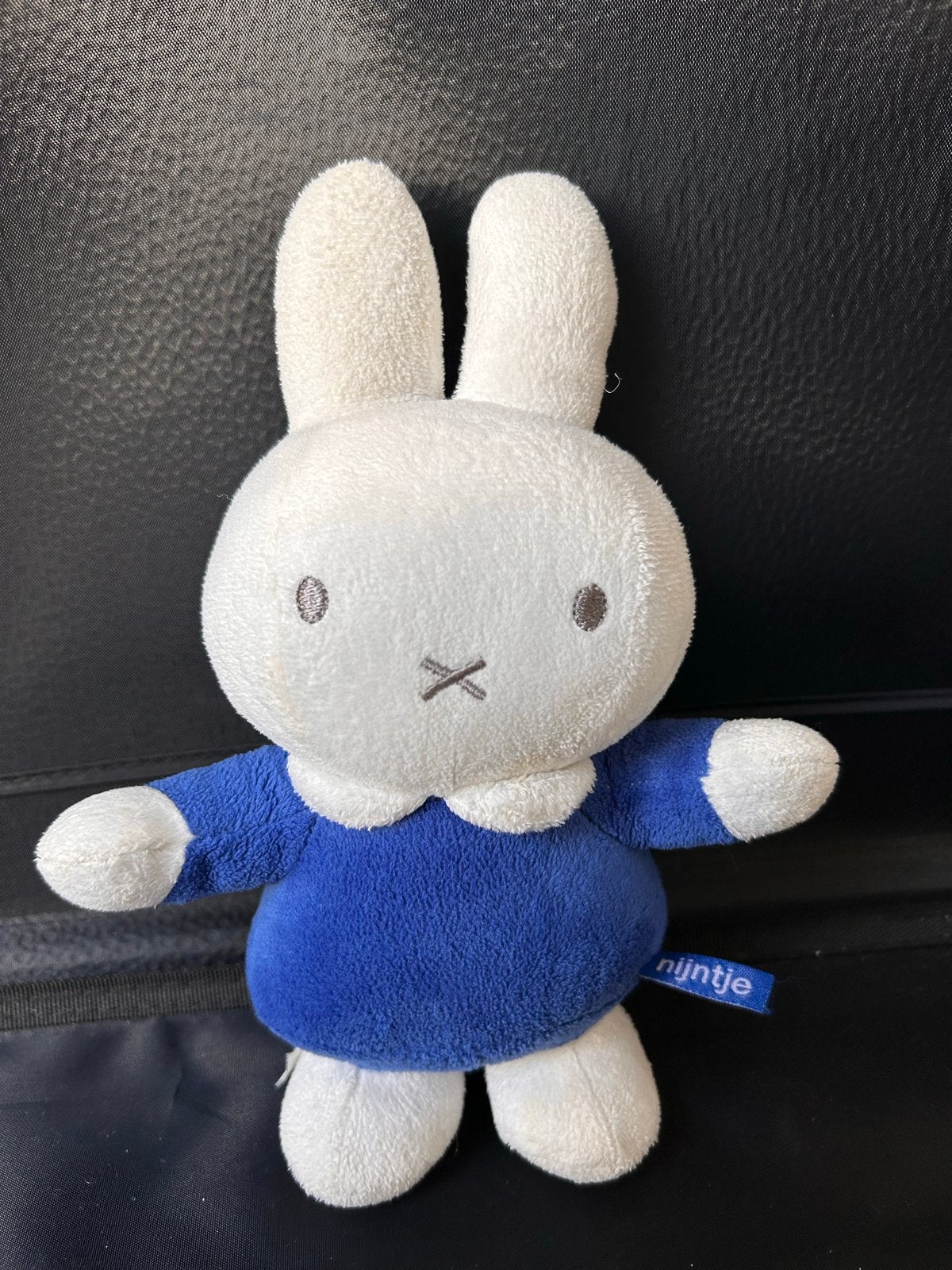 Kleine Nijntje rammelaar knuffel - Blauw, Met geluid, Blauw, Konijn, Nijntje