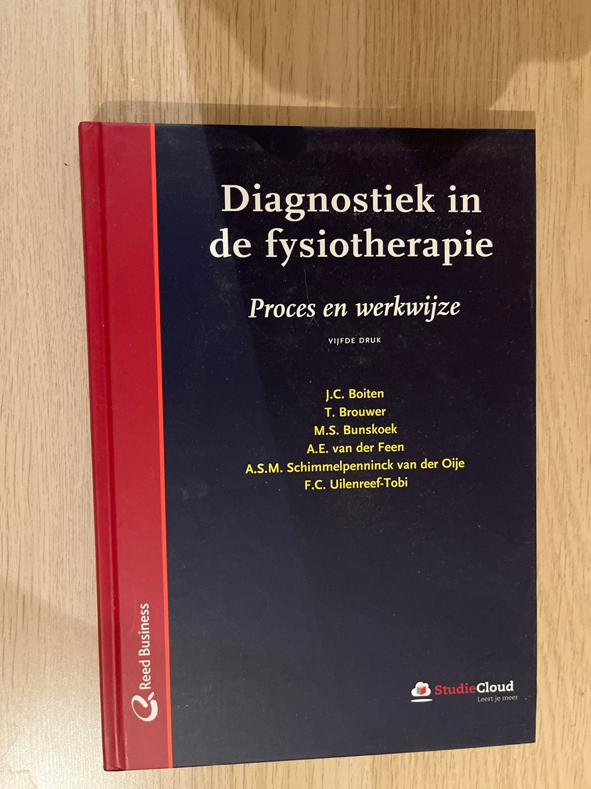 Diagnostiek in de fysiotherapie - Proces en werkwijze, Ophalen of Verzenden, Beta, Zo goed als nieuw, HBO