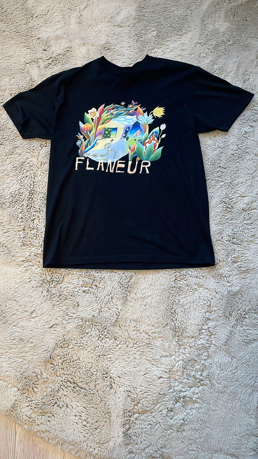 Zwart T-shirt met kleurrijke 'Flaneur' print, Kleding | Heren, Verzenden, Zo goed als nieuw, Maat 48/50 (M), Zwart