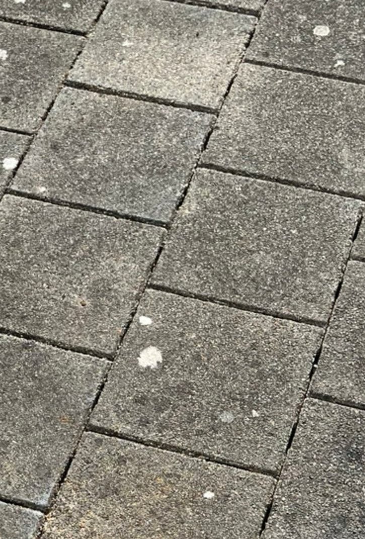 Gratis af te halen betontegels grijs 18m², Tuin en Terras, Tegels en Klinkers, Ophalen, Gebruikt, 10 m² of meer, Beton