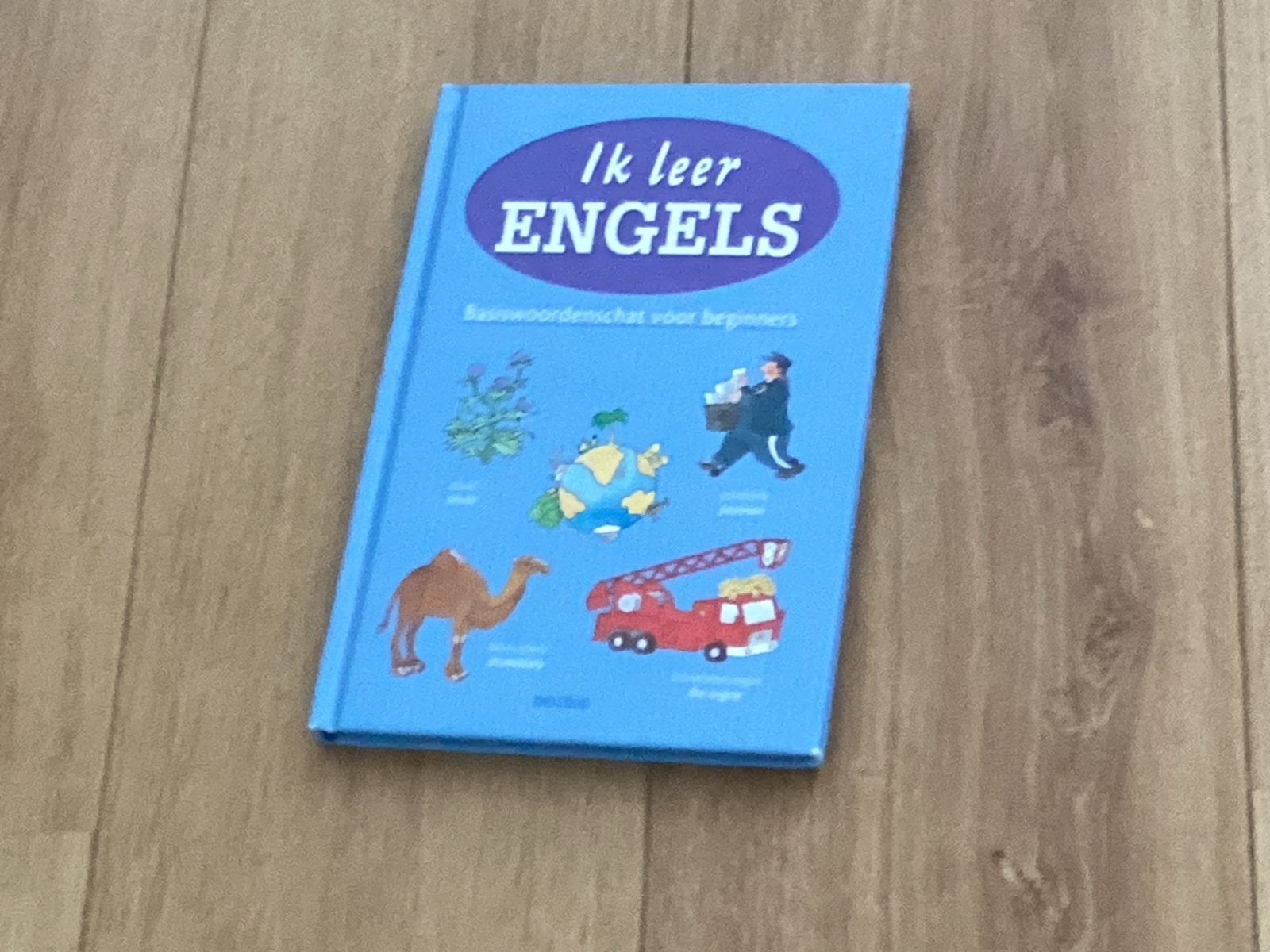 Ik leer Engels - Basiswoordenschat voor beginners, Ophalen of Verzenden, Zo goed als nieuw, Non-fictie