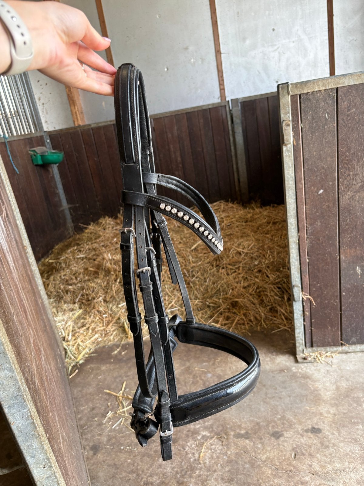 Hoofdstel profi rider full, Ophalen of Verzenden, Profi-Rider, Full, Dressuur