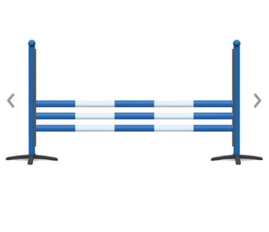 2 x Nedlandic Hindernis basic, Dieren en Toebehoren
