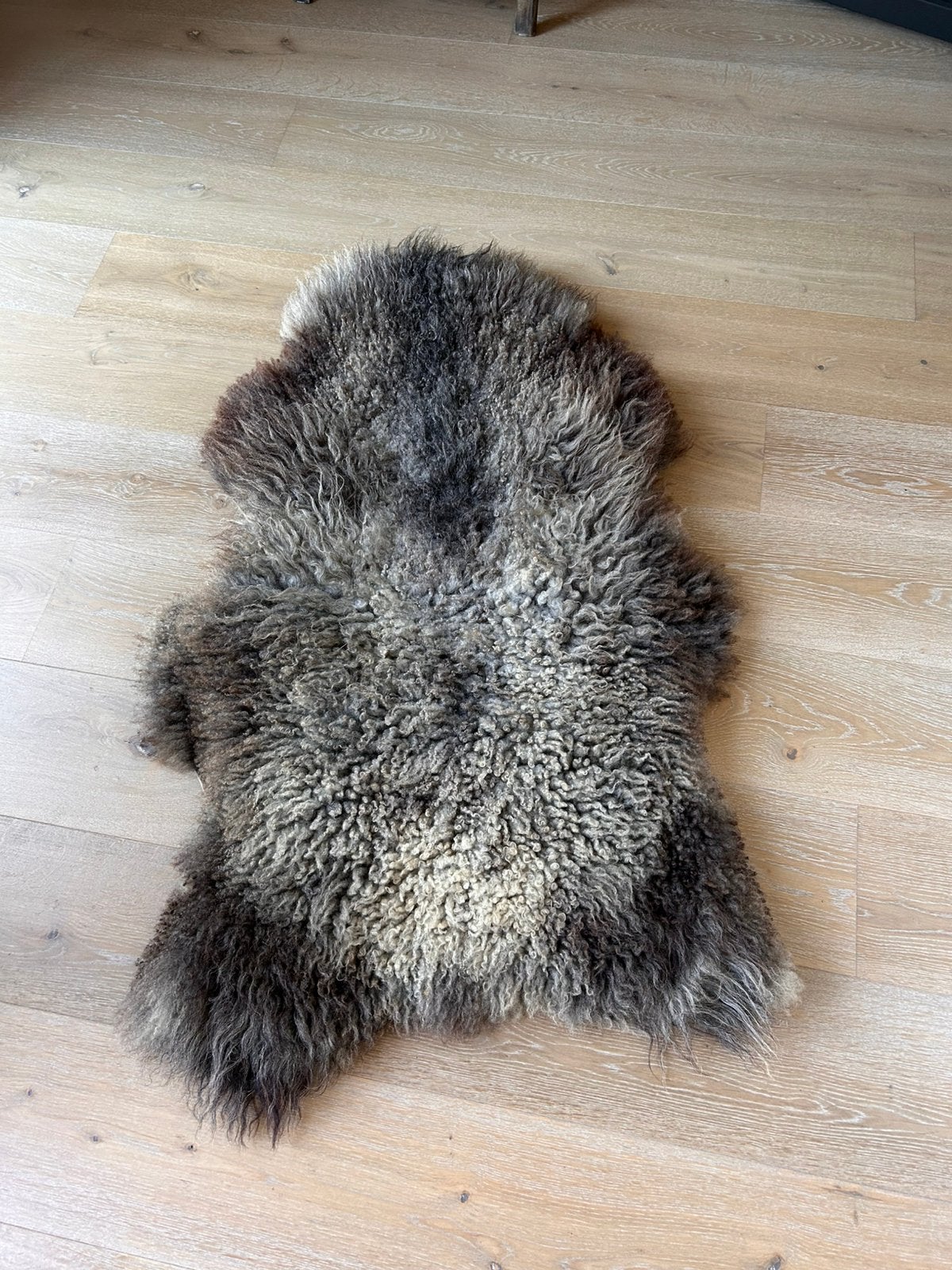 Vacht schaap xl grijs, Ophalen, Gebruikt, Schapenvacht, Grijs