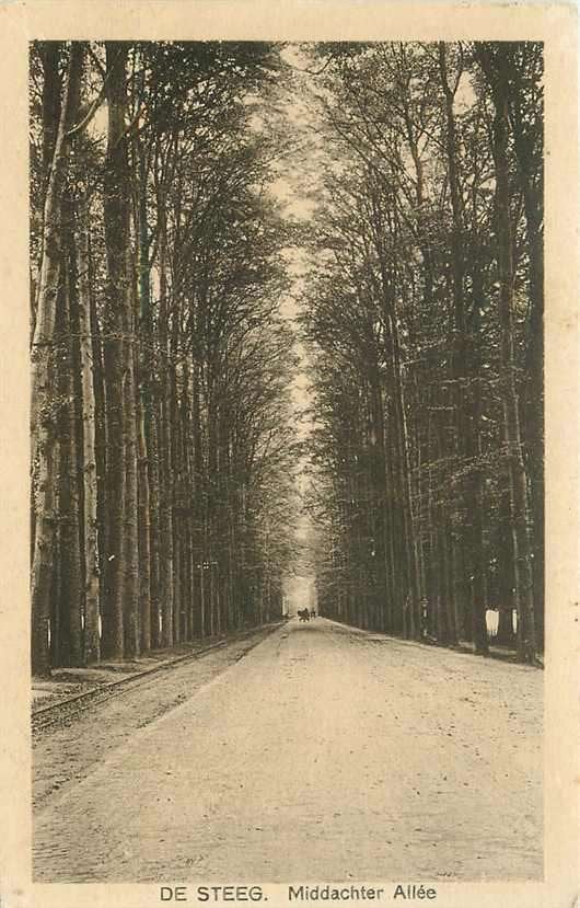 377-128-029 De Steeg, Verzenden, Voor 1920, Gelderland