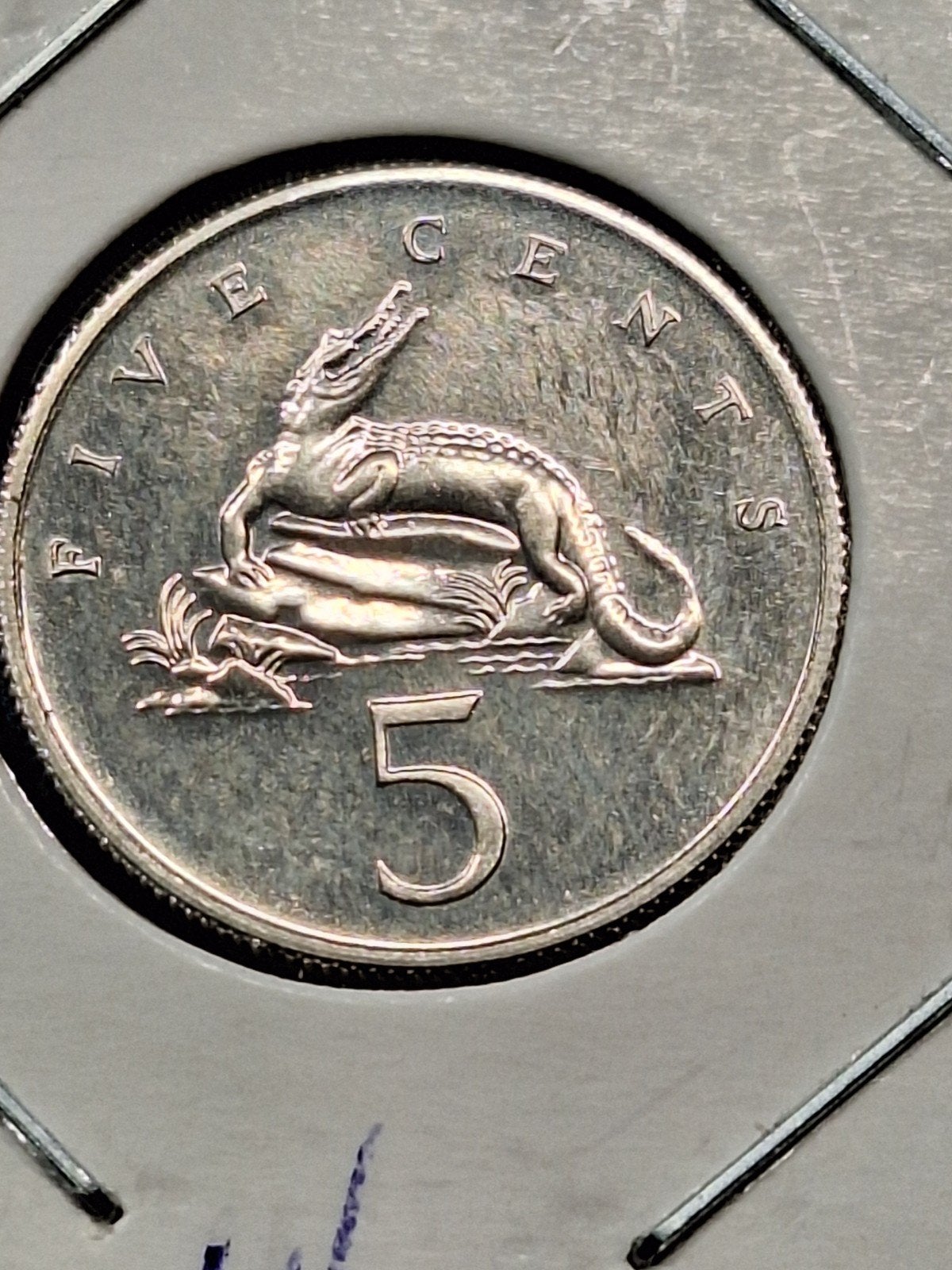 Jamaica 5 cents 1969, Postzegels en Munten, Munten | Amerika, Ophalen of Verzenden, Midden-Amerika