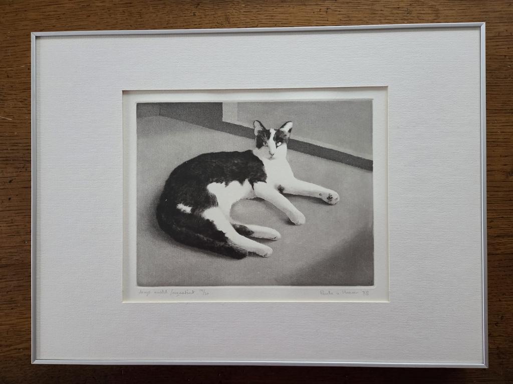 Droge naald ets, aquatint, liggende poes, 1978, Antiek en Kunst, Kunst | Etsen en Gravures, Ophalen of Verzenden