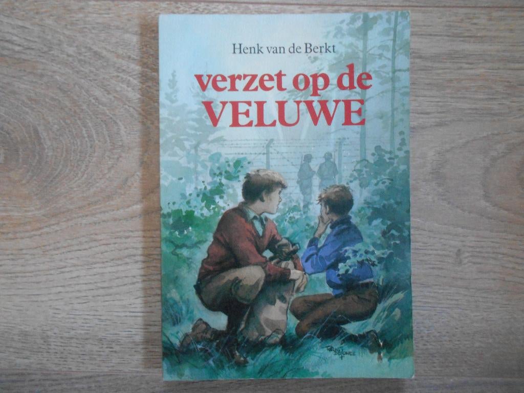 Henk van de Berkt Verzet op de Veluwe, Boeken, Ophalen of Verzenden, Tweede Wereldoorlog, Zo goed als nieuw, Overige onderwerpen