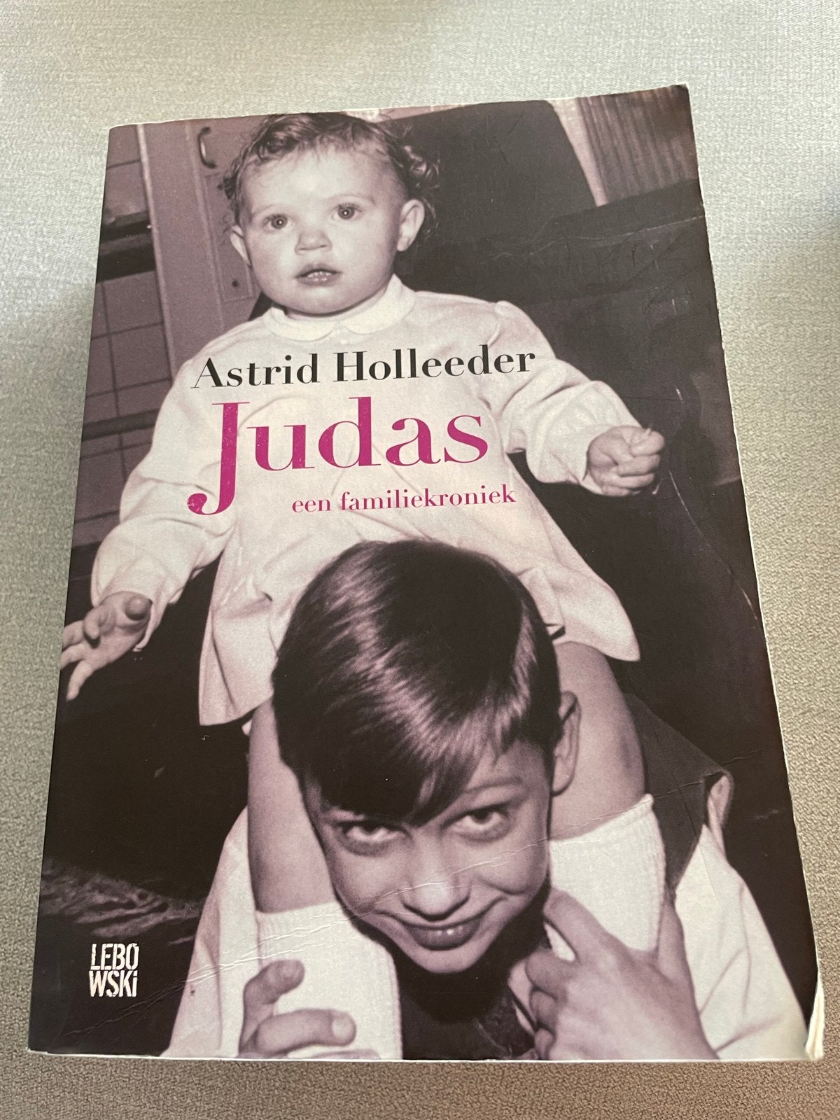 Boek Judas - Astrid Holleeder - Een familiekroniek, Ophalen of Verzenden, Gelezen, Nederland